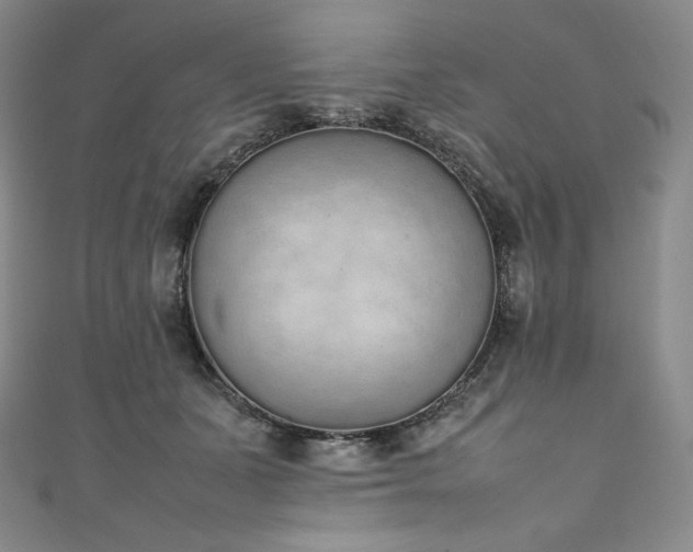 X0000111140511200906301233