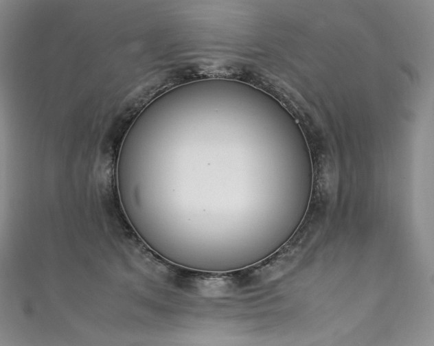 X0000111140513200906301233