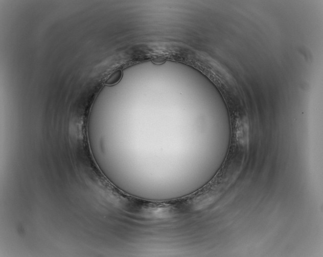 X0000111140514200906301233