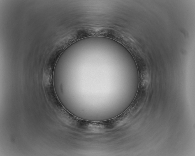 X0000111140515200906301233