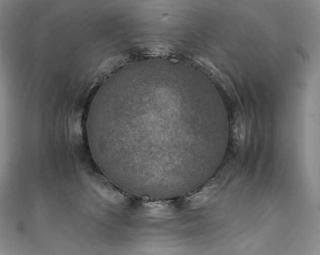 X0000111140516200906301233