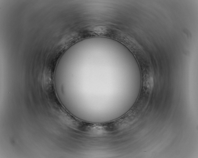 X0000111140518200906301233