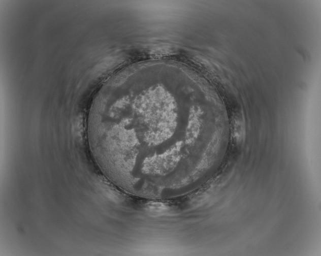 X0000111140519200906301233