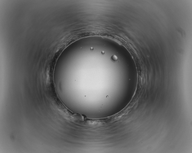 X0000111140520200906301233