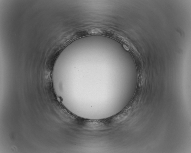 X0000111140521200906301233