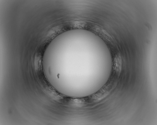 X0000111140522200906301233