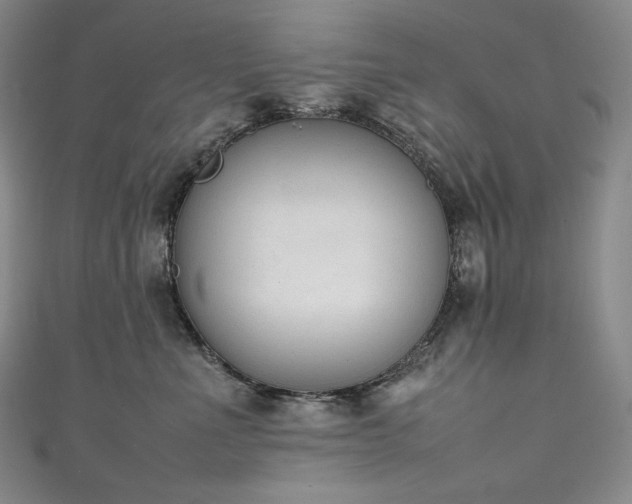 X0000111140523200906301233