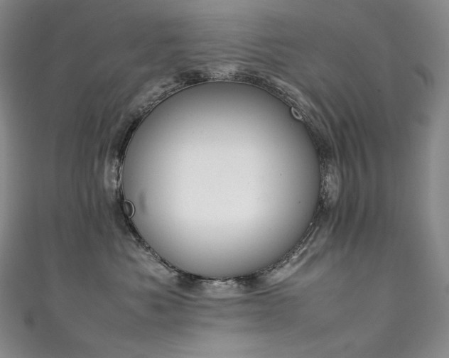 X0000111140525200906301233