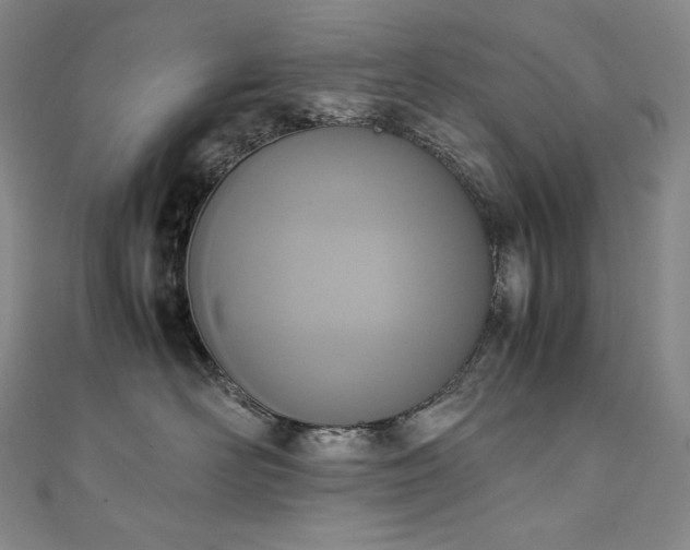 X0000111140526200906301233