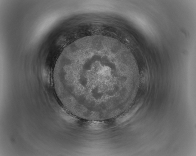 X0000111140527200906301233