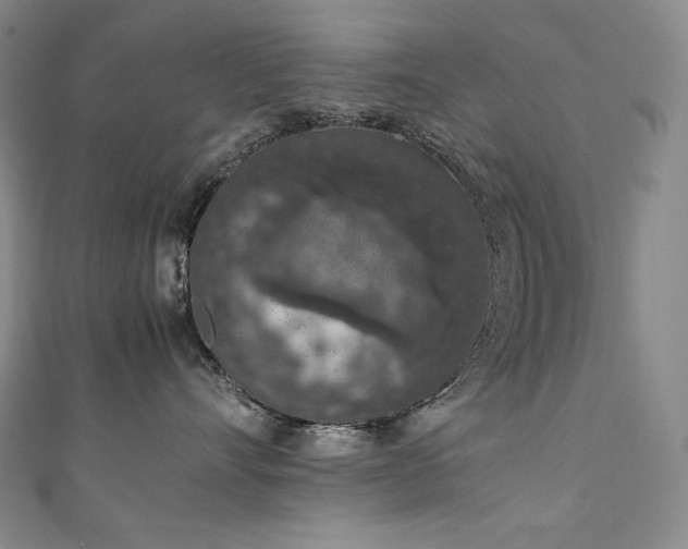 X0000111140528200906301233