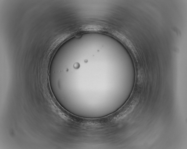 X0000111140529200906301232