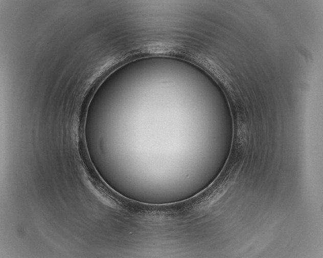 X0000111140530200906301232