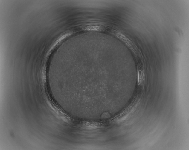 X0000111140531200906301232