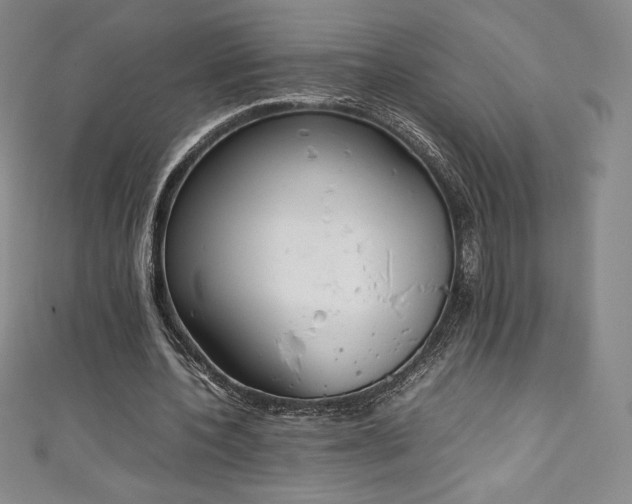 X0000111140532200906301232