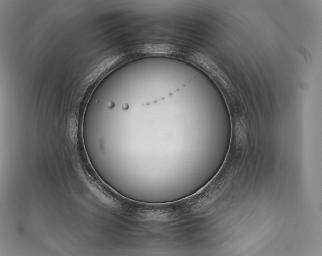 X0000111140533200906301232