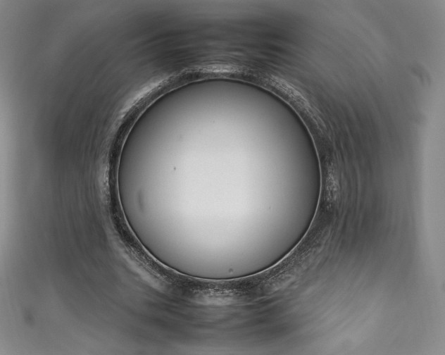 X0000111140535200906301232