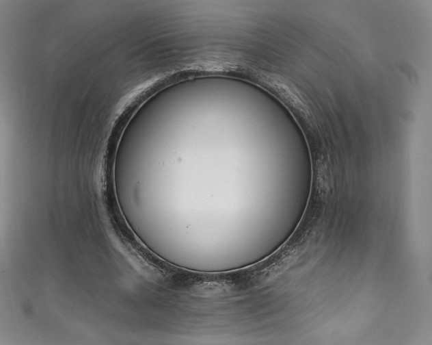 X0000111140536200906301232