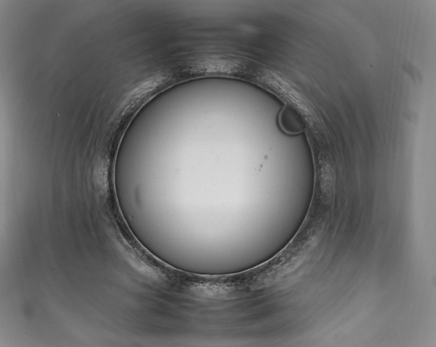 X0000111140537200906301232