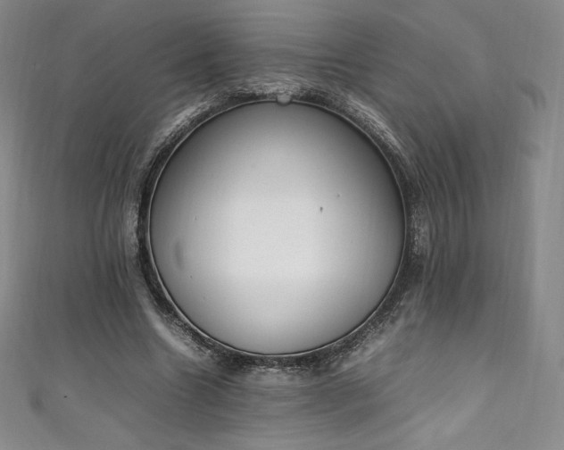 X0000111140538200906301232