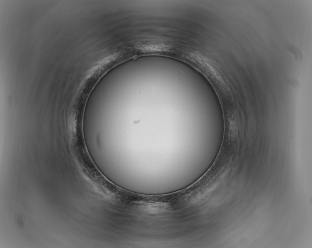 X0000111140539200906301232