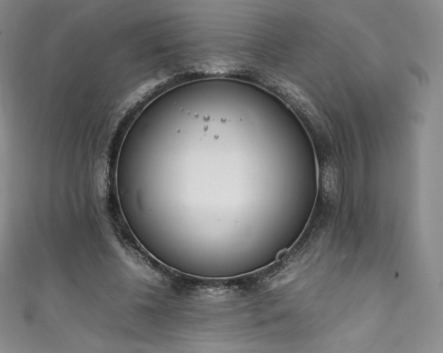 X0000111140540200906301232