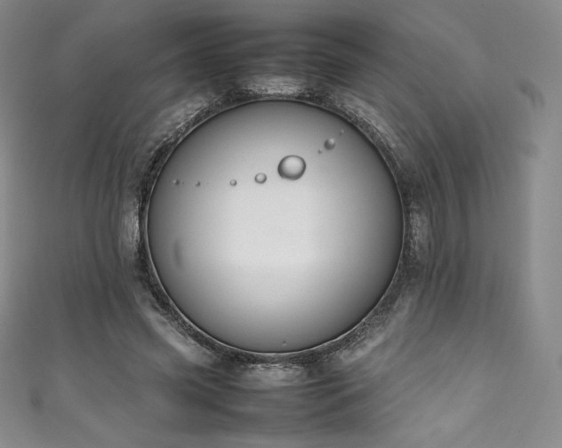 X0000111140541200906301232