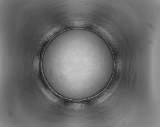 X0000111140542200906301232