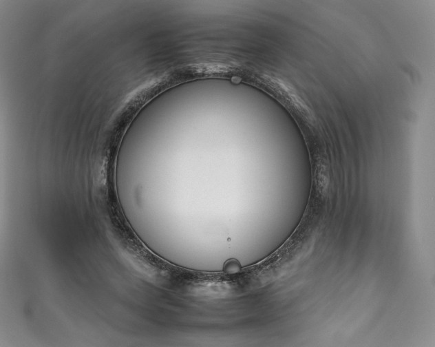 X0000111140543200906301232