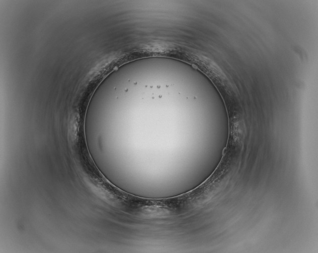 X0000111140544200906301232