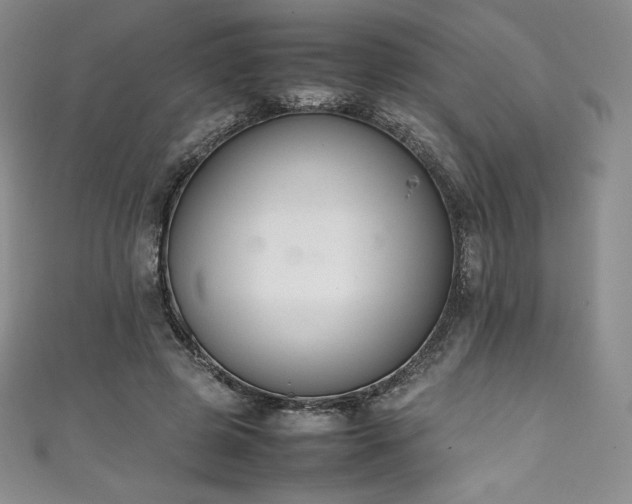 X0000111140545200906301232