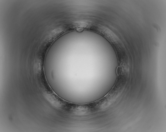 X0000111140546200906301232