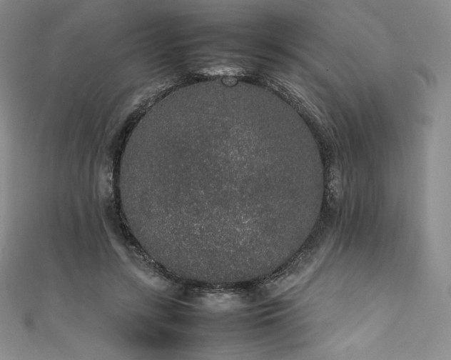 X0000111140547200906301232