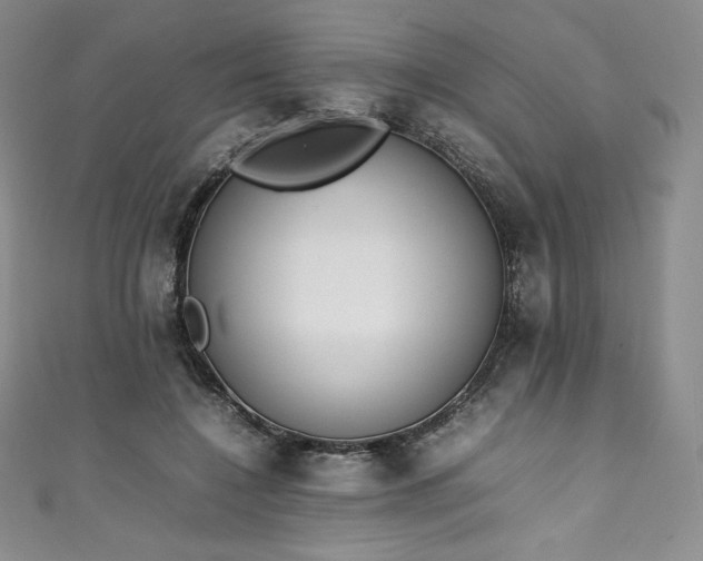 X0000111140548200906301232