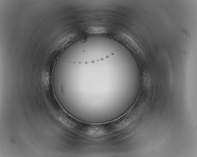 X0000111140549200906301232