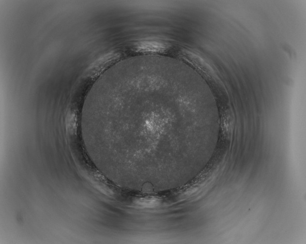 X0000111140551200906301232