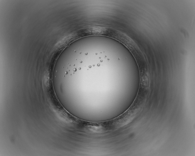 X0000111140552200906301232