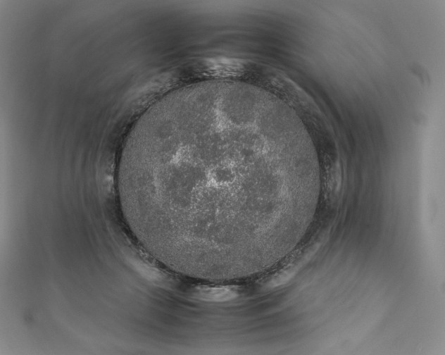 X0000111140553200906301232