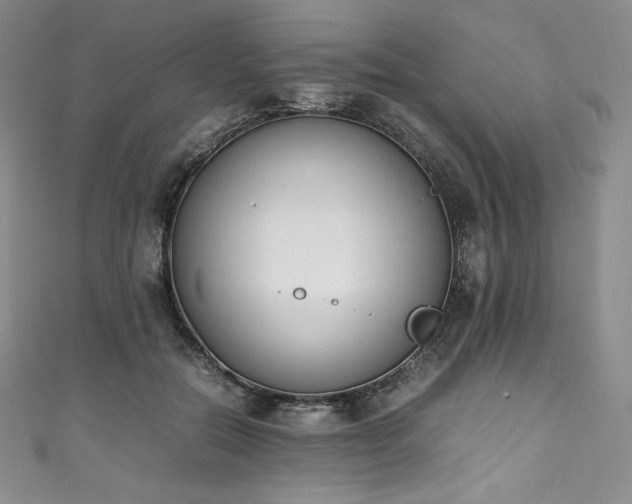 X0000111140554200906301232