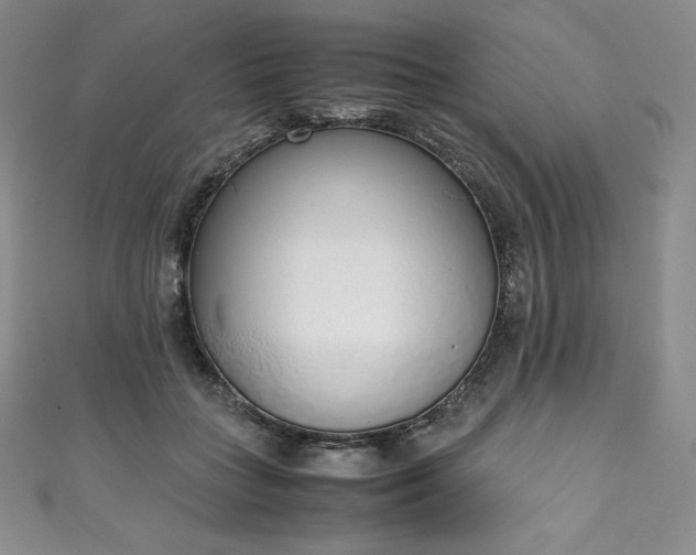 X0000111140555200906301232