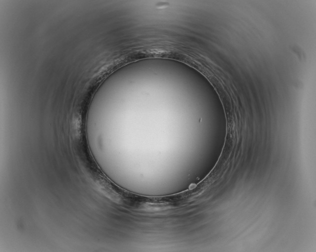 X0000111140556200906301232