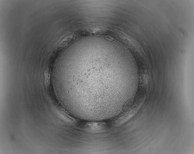 X0000111140558200906301232