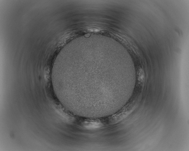 X0000111140559200906301232