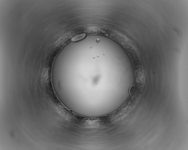 X0000111140560200906301232