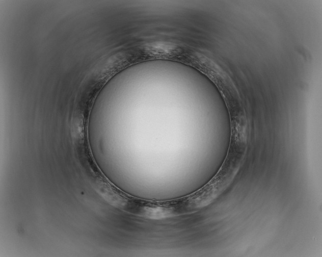 X0000111140561200906301232