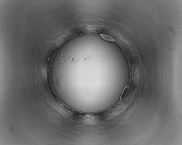 X0000111140562200906301232