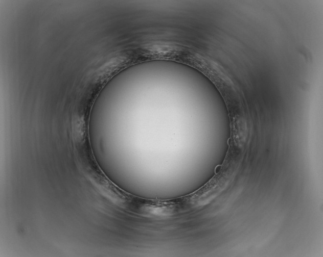 X0000111140563200906301232