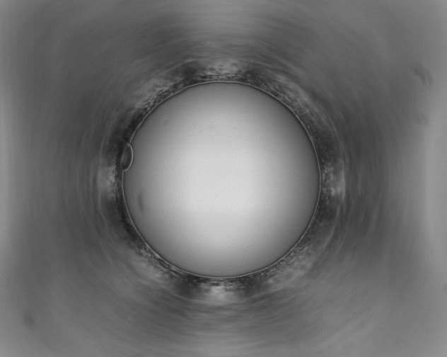 X0000111140564200906301232