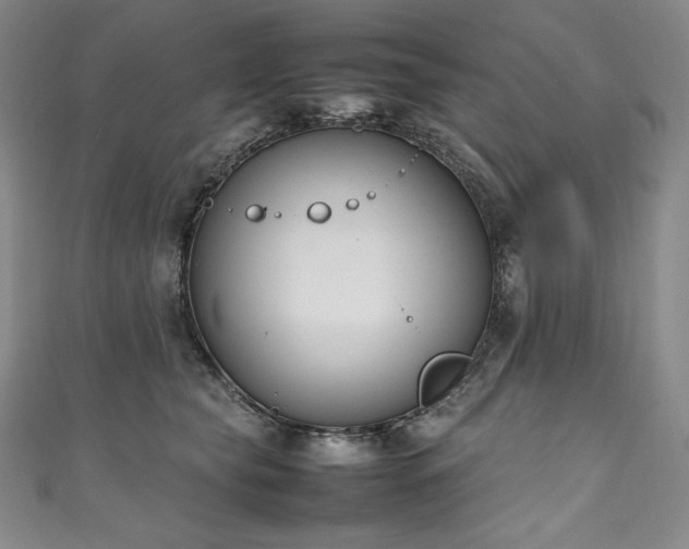 X0000111140565200906301232