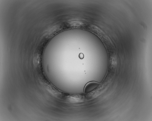 X0000111140567200906301232